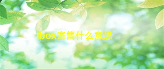 iBox 寄售服務解析 什么是受托寄賣？